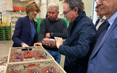 Lettieri : Competitività e sviluppo sostenibile del settore agricolo lucano al centro della conferenza PD Basilicata